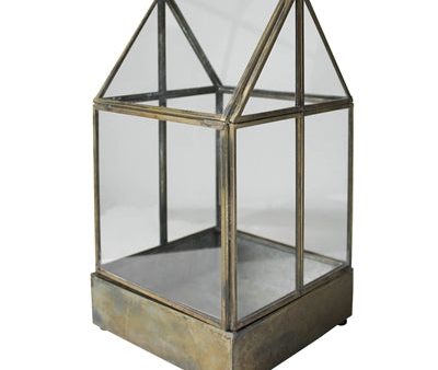 Pike Terrarium Online Hot Sale