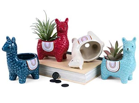 4 Pc. Set Alpaca Succulent Cacti Planter Pots For Discount