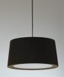 GT5 Pendant Light Supply