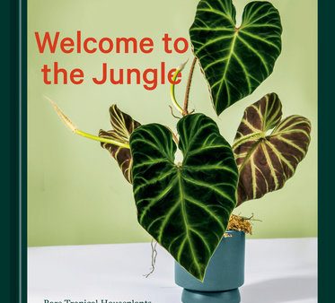 Welcome to the Jungle Discount