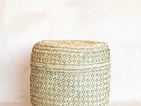 Medium Oaxacan Woven Basket - Sage Discount