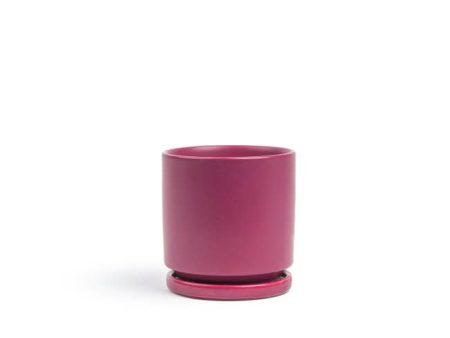 Sangria Fresco Cylinder Pot Online now