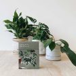 Leaf Supply Deck of Plants: 50 Indoor Plant Profiles on Sale