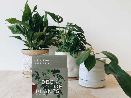 Leaf Supply Deck of Plants: 50 Indoor Plant Profiles on Sale