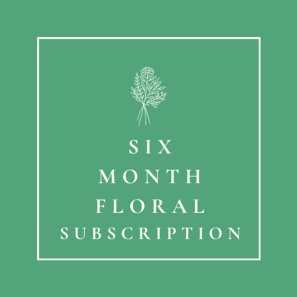 Six Month Floral Subscription For Cheap