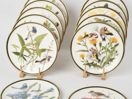 Set of 12 porcelain plates - Arthur Singer - Songbirds of the world - Wedgwood 10¾  Supply