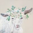 HH151 - Faith the Goat - 12x12 Online